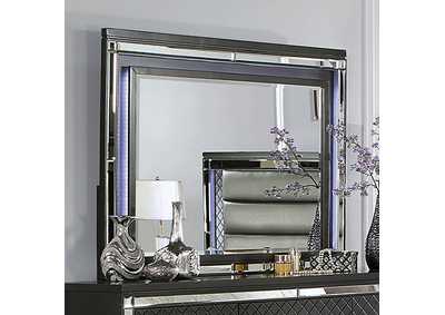 Image for Calandria Mirror