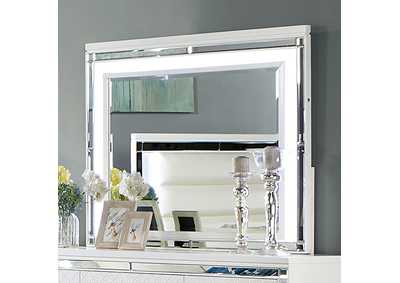 Image for Calandria Mirror