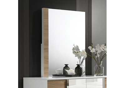 Image for Erlangen Mirror