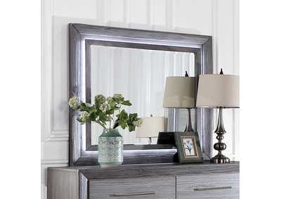 Image for Raiden Mirror
