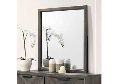 Image for Vagan Mirror