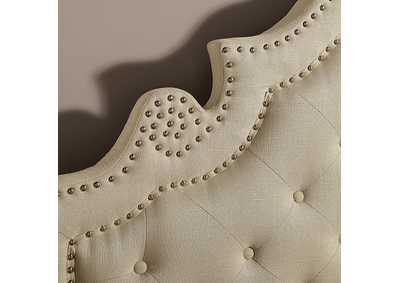 Thumb Image3