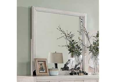 Image for Berenice Mirror