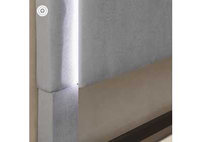 Thumb Image4