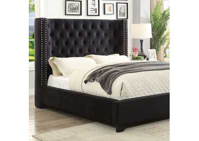 Image for Carley E.King Bed