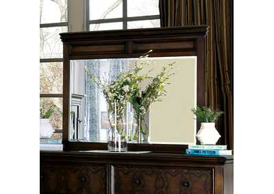 Image for Minerva Mirror