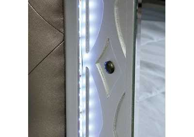 Thumb Image5