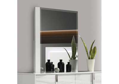 Image for Sinistra Mirror