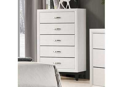 Image for Errico Chest