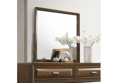 Image for Caerwys Mirror