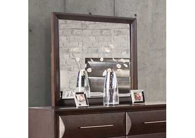 Image for Hinwitz Mirror