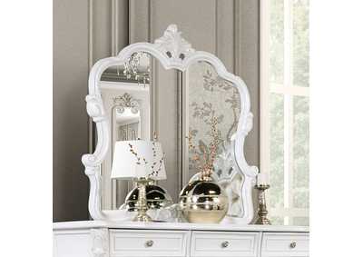 Image for Valentini Mirror