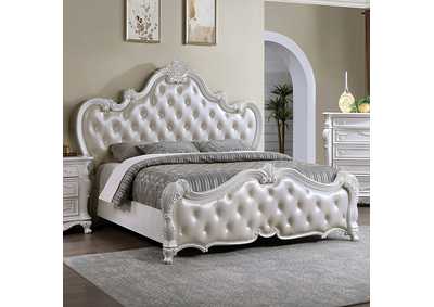 Ventresca Queen Bed