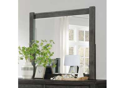 Image for Regensburg Mirror