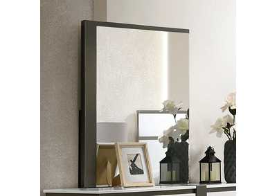 Image for Birsfelden Mirror