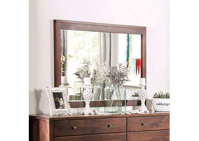 Image for Willamette Mirror