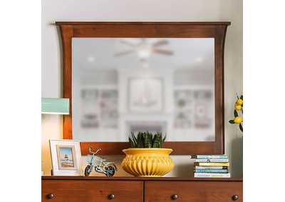 Image for Keizer Mirror