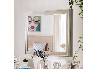 Image for Roseburg Mirror