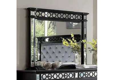 Image for Theola Mirror