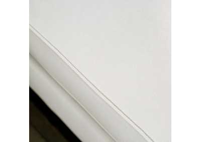 Thumb Image2