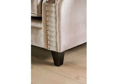 Thumb Image7