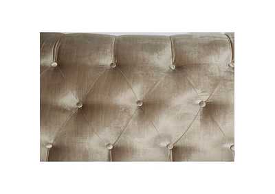 Thumb Image8