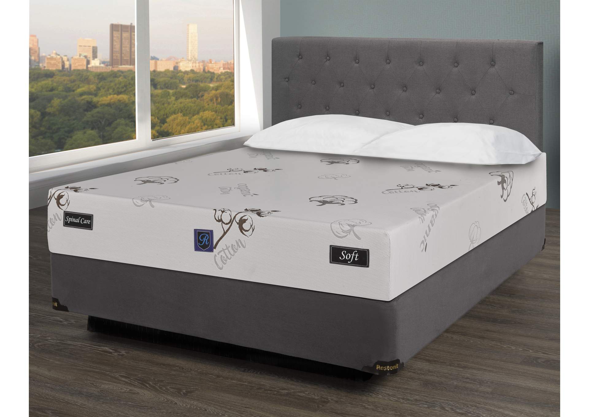 Spinal Care Full Mattress - 10",Galaxy Home Furniture