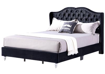Black Micro Suede Upholstered Queen Bed