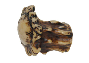 Image for Natural Antler Knobs