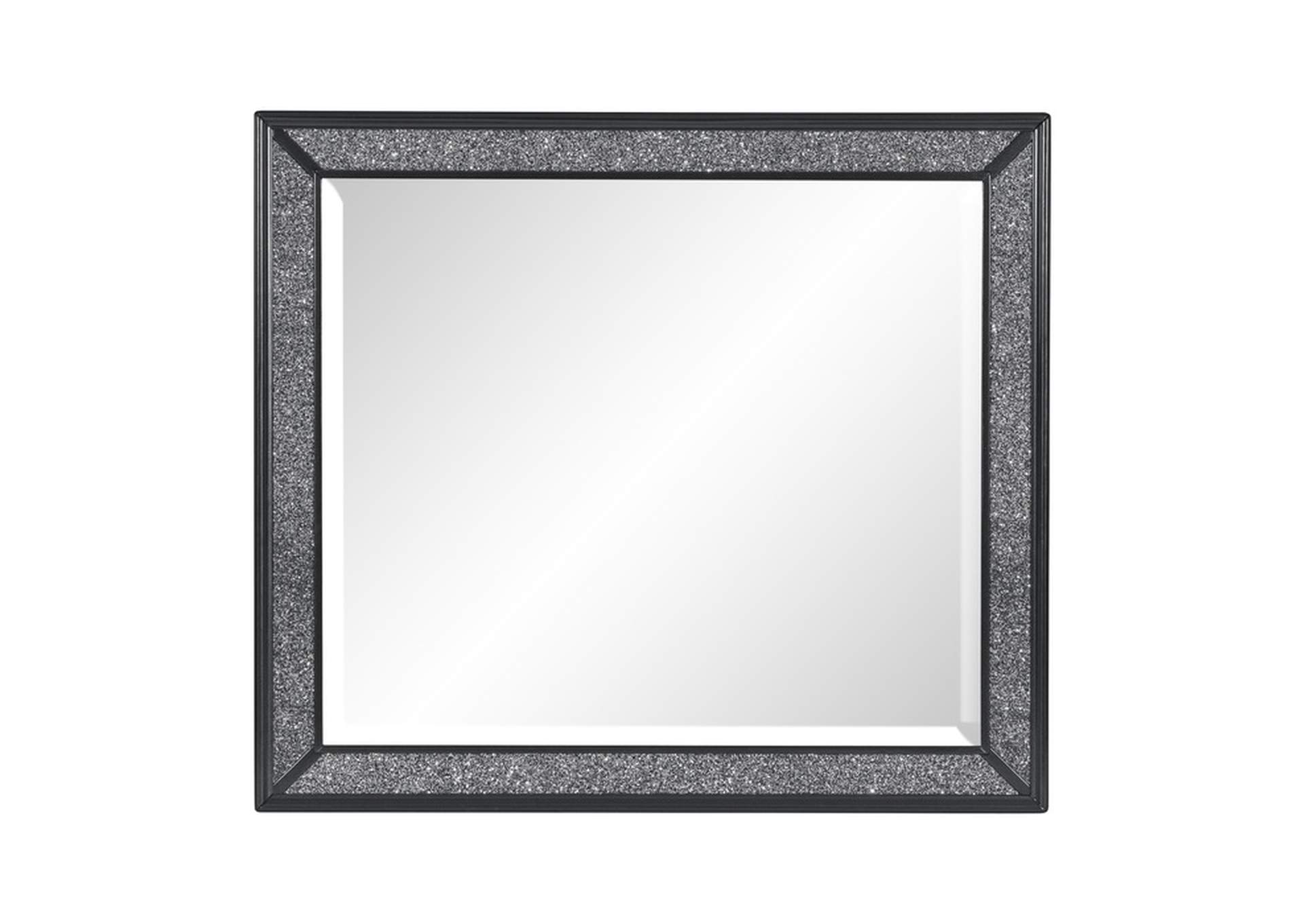 Salon Mirror,Homelegance