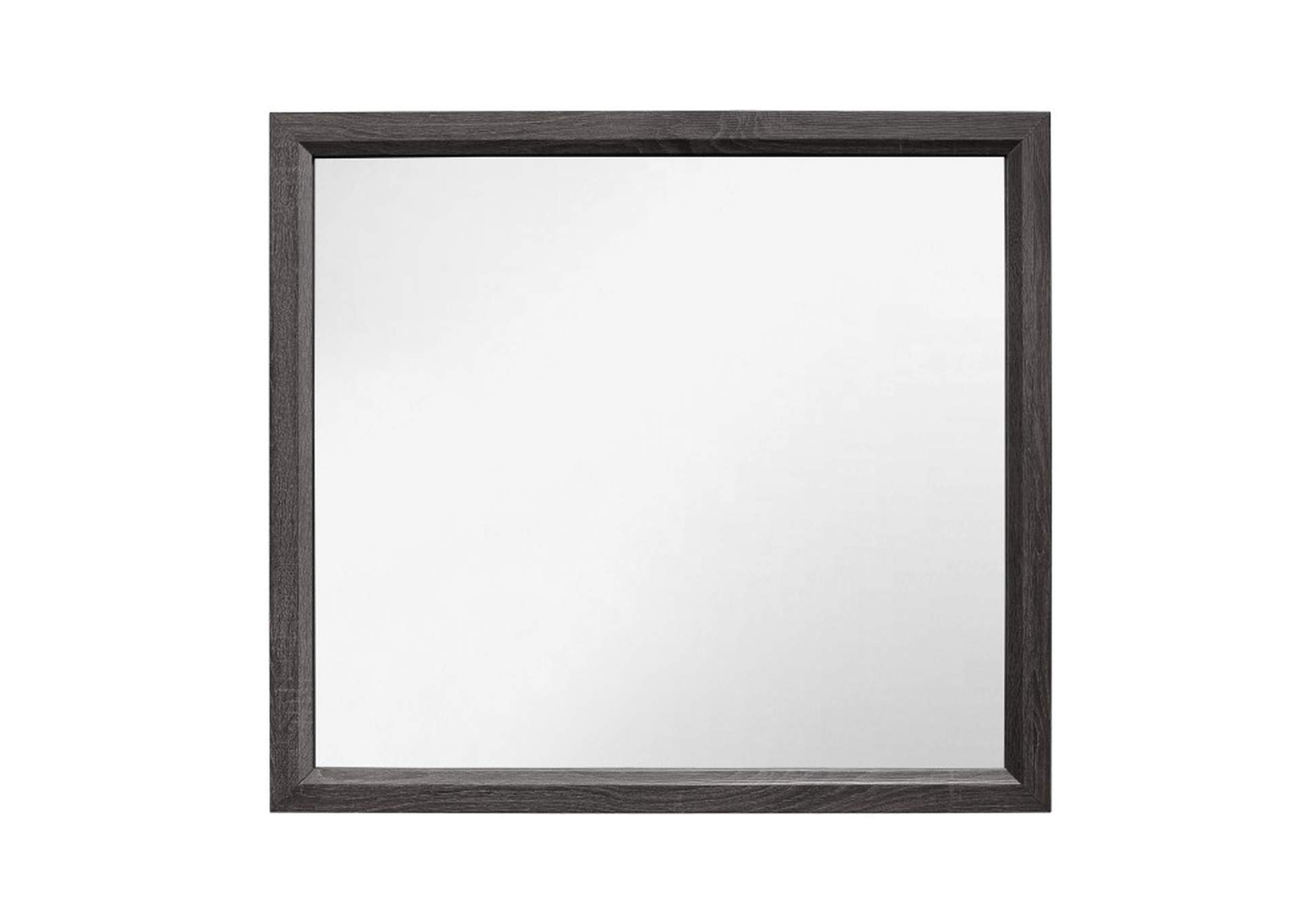 Davi Mirror,Homelegance