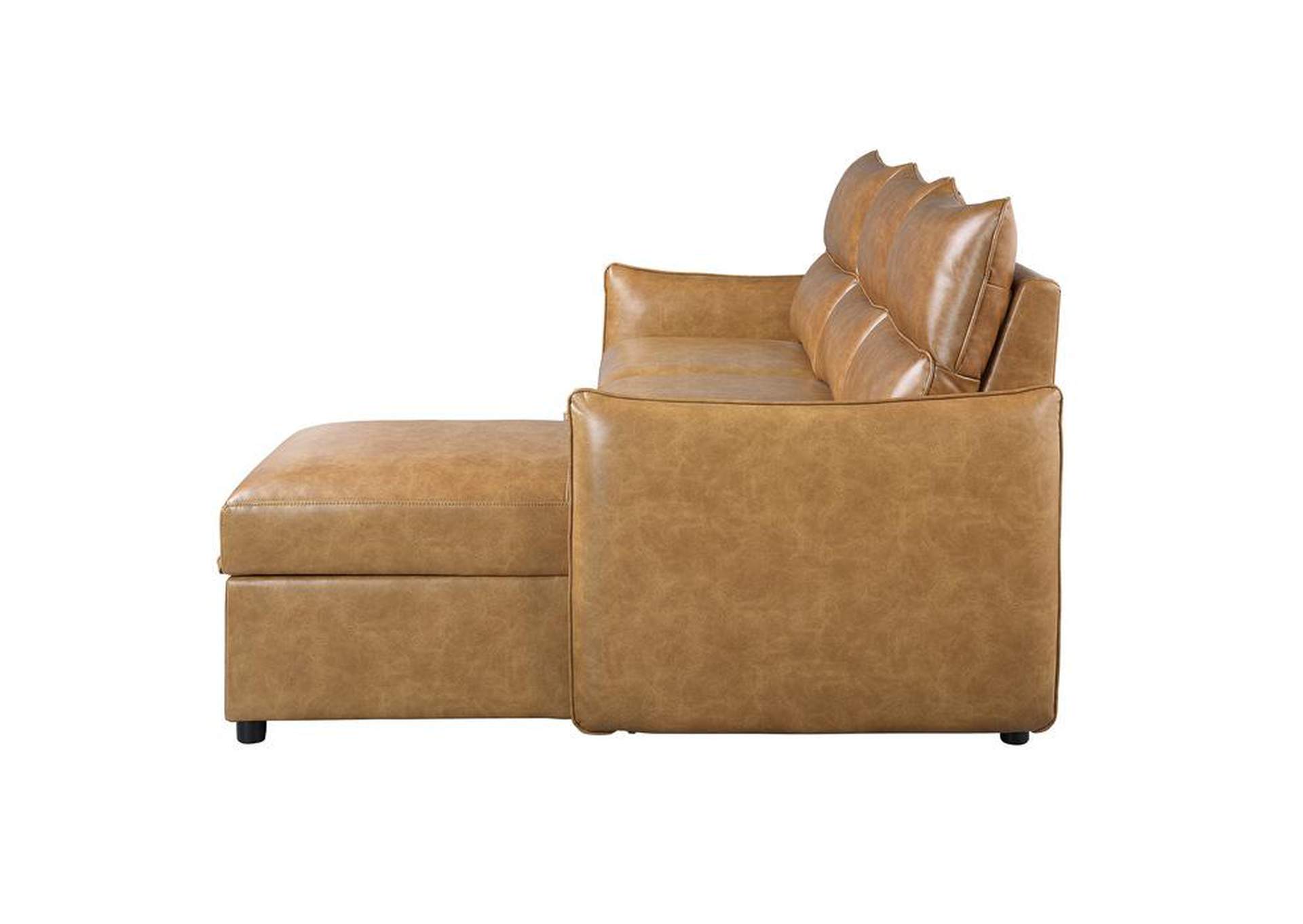 Delara 2-Piece Reversible Sectional With Pull-Out Bed And Hidden Storage,Homelegance