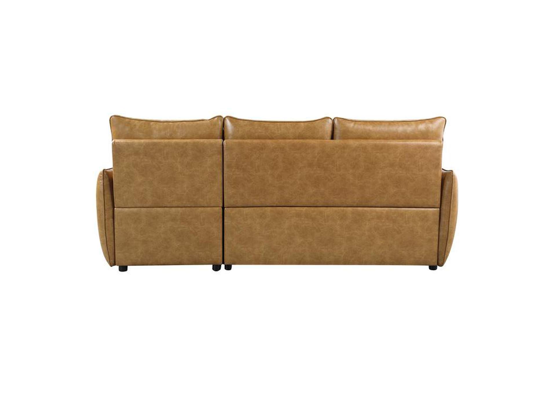 Delara 2-Piece Reversible Sectional With Pull-Out Bed And Hidden Storage,Homelegance