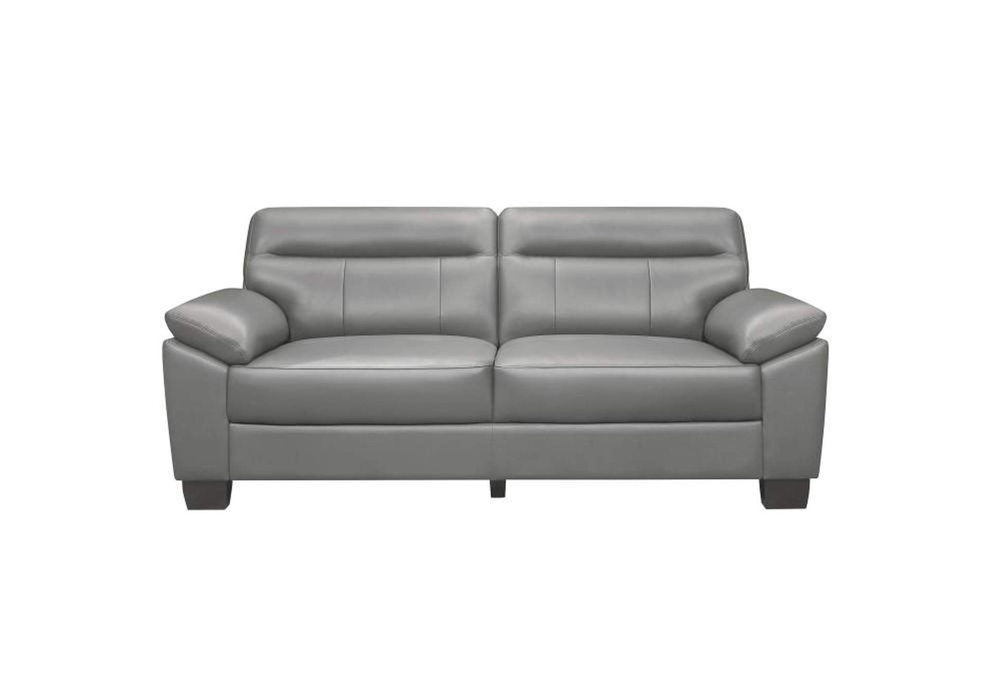 Denizen 2 Piece Sofa Set,Homelegance