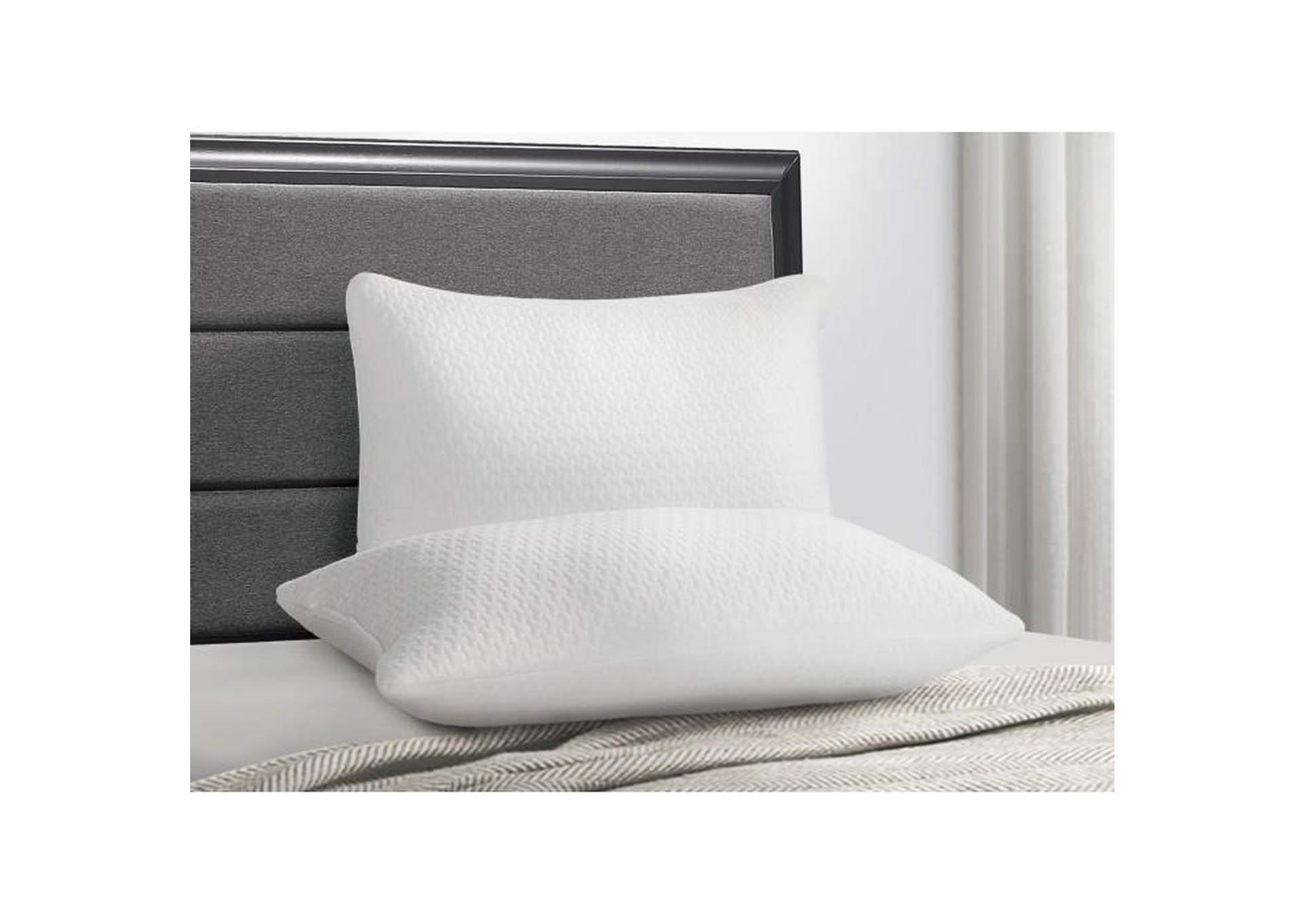 Queen Size Shredded Pillow (2 Per Box),Homelegance