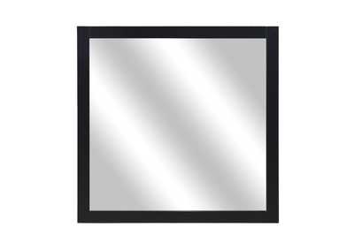 Image for Mirror