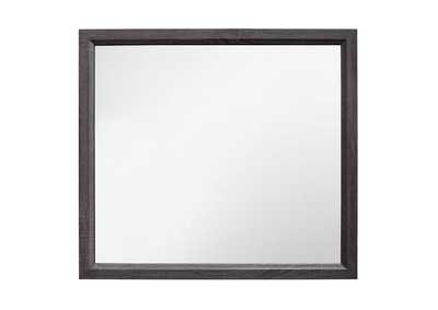 Image for Mirror