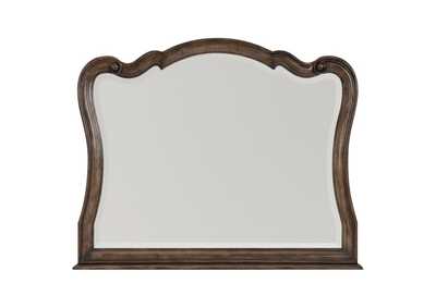 Image for Court Mirror