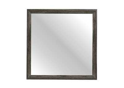 Image for Mirror