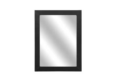 Image for Lorenzi Mirror