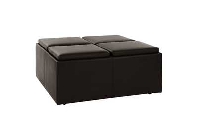 Image for Kaitlyn Storage Cocktail Ottoman