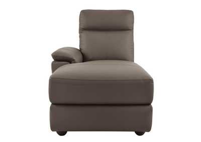 Thumb Image1