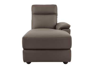 Thumb Image5