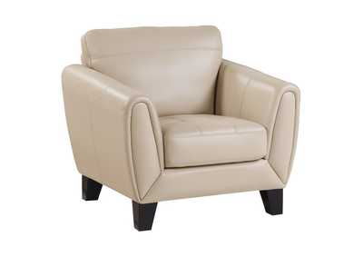 Thumb Image1