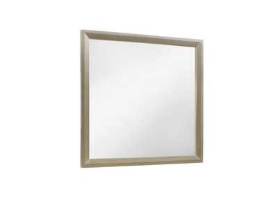 Image for Mirror, Bevel Glass