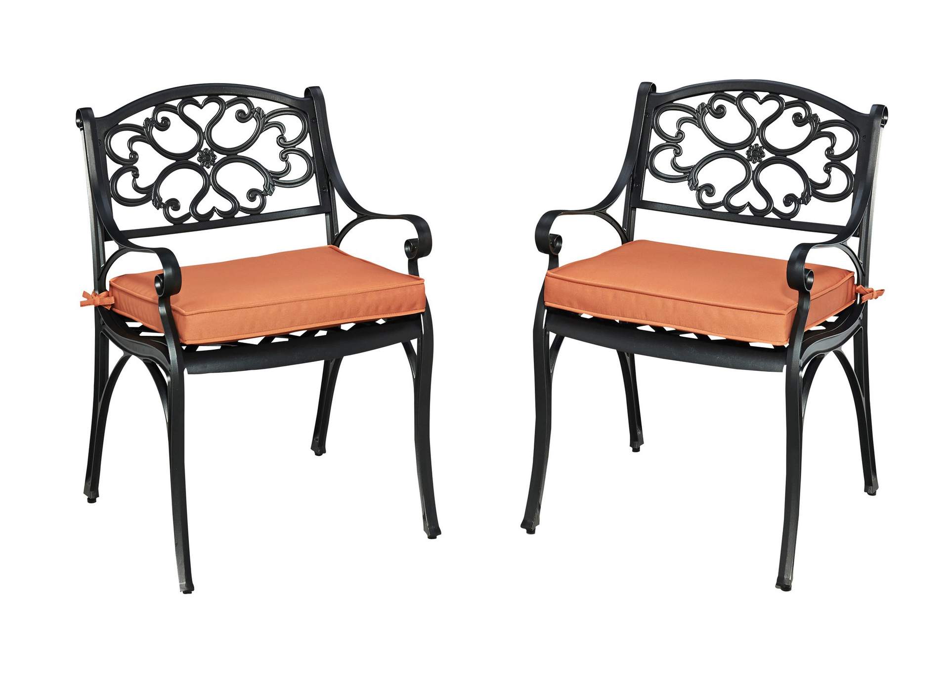 Sanibel Black Outdoor Chair Pair,Homestyles