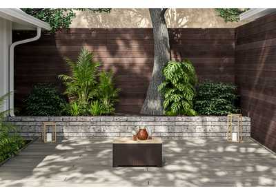 Thumb Image2