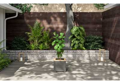 Thumb Image2