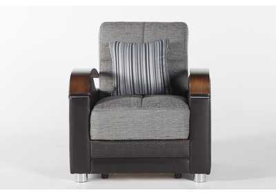 Luna Fulya Gray Arm Chair Sleeper Sofa,Hudson Furniture & Bedding