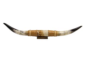 Image for Small Mounted Horns